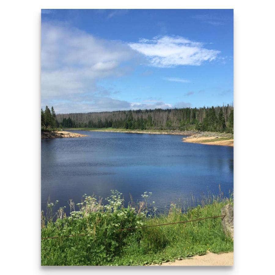 Harz Zeit Διαμέρισμα Altenau  Εξωτερικό φωτογραφία