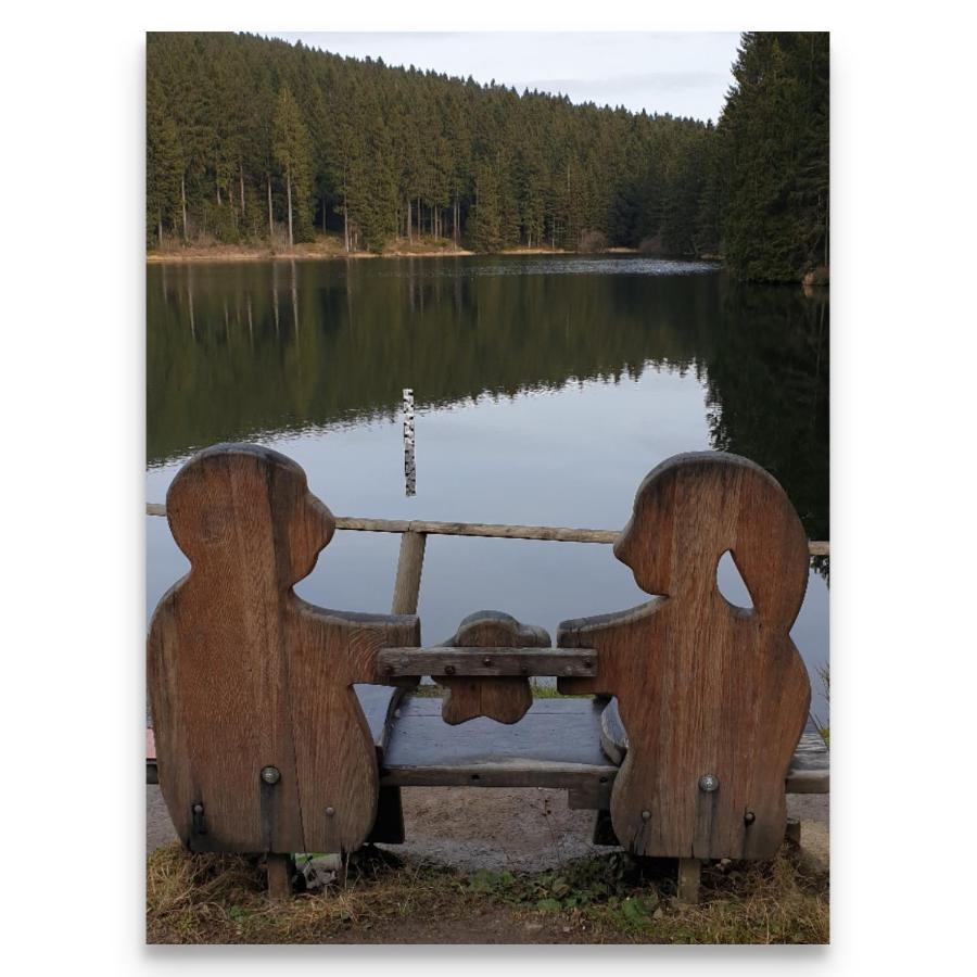 Harz Zeit Διαμέρισμα Altenau  Εξωτερικό φωτογραφία